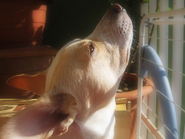 Si gode  il sole finché c'è