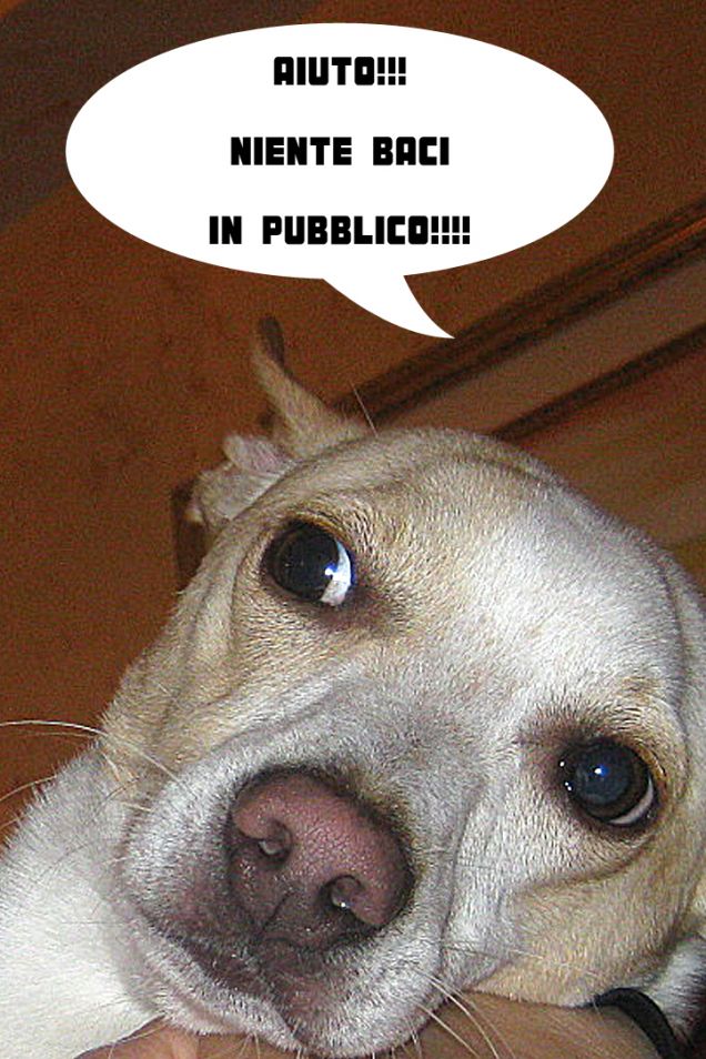 Niente baci in pubblico please!