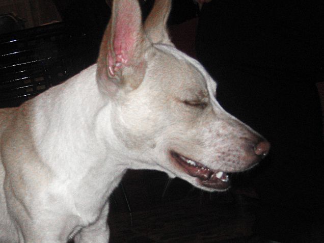 ihihihi ora so che monelleria organizzare oggi