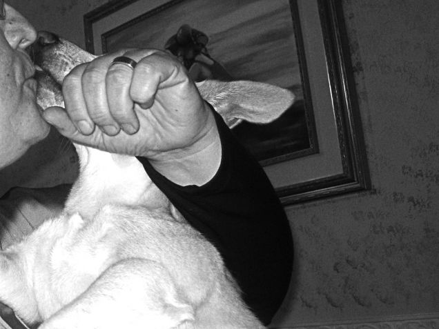 Mi piace quella mano che coincide con la forma del viso di Rocco