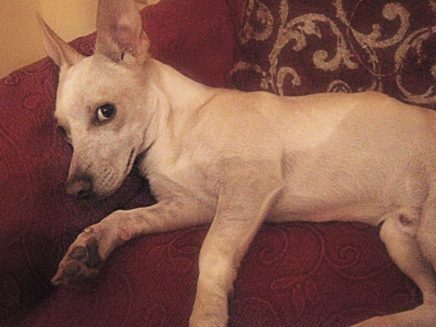 E quando mi guarda così e fa tanti versetti... ottiene tante coccole