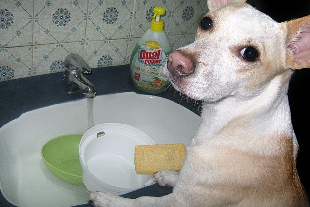 Lavo io i piatti oggi, capito mamy?