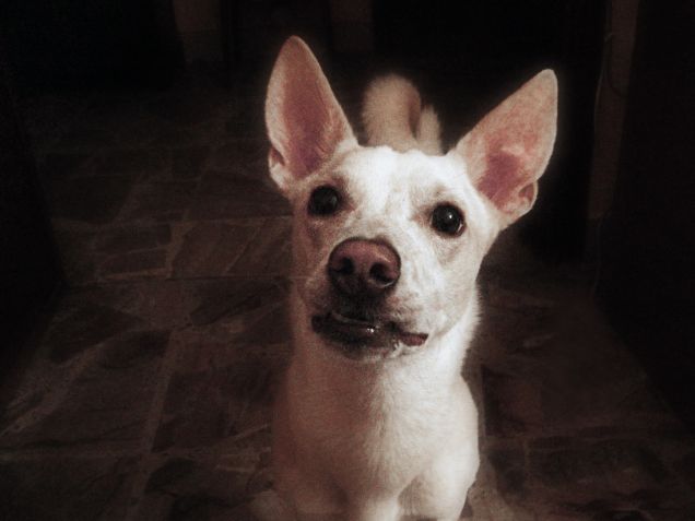 Ma come ora devi lavorare? Ma mancano ancora 999.999 lanci di pallina