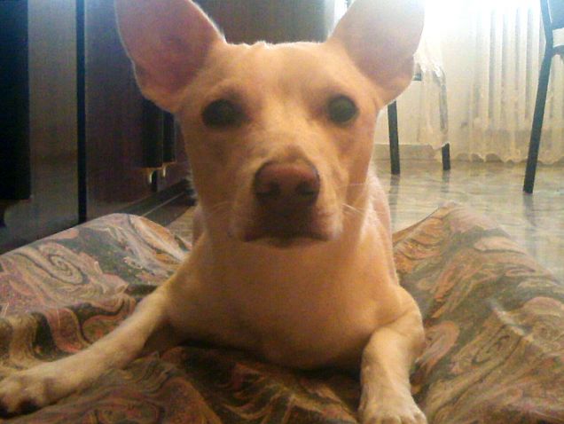 Ok, tu lavora e io ti guardo da qui