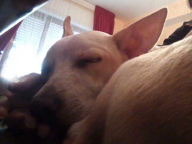 Alla fine ho lavorato con lui sulle gambe xD