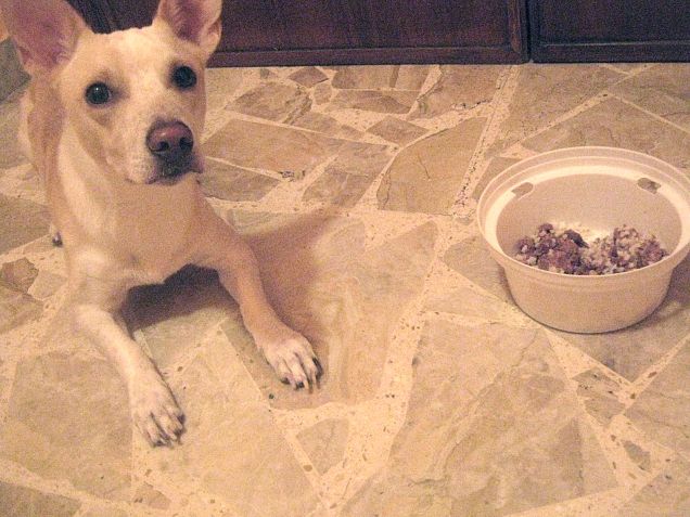 Aspetto il via di mamy