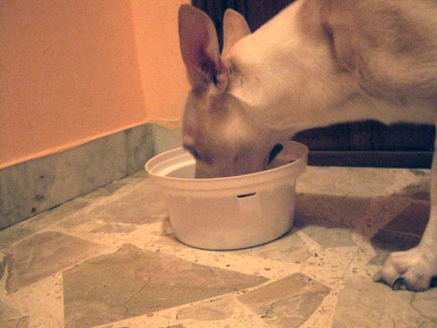 Via! All'attaccooooo