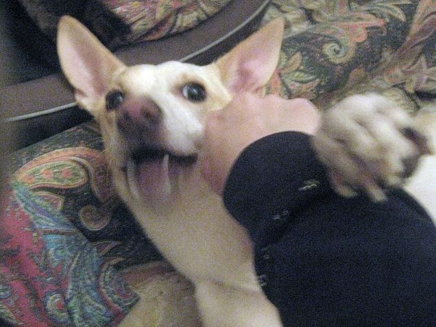  Il Vampiro (lo so che è mossa ma mi fa ridere)