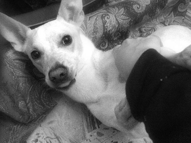 Sa sempre come farsi perdonare :)