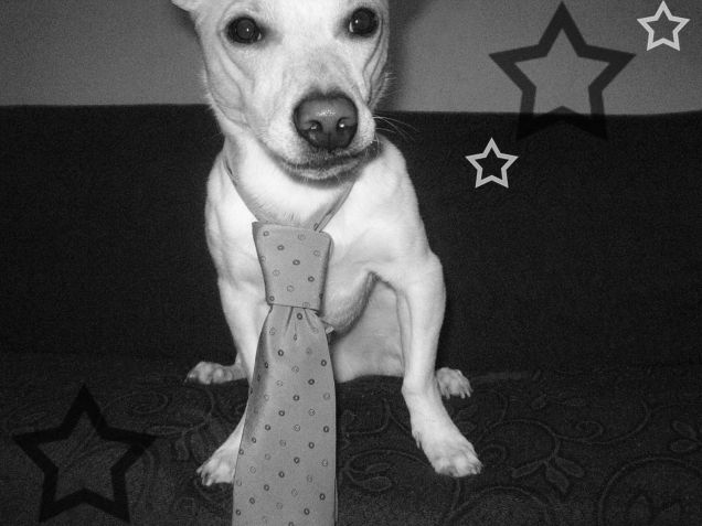 mamy dice che sono bellissimo