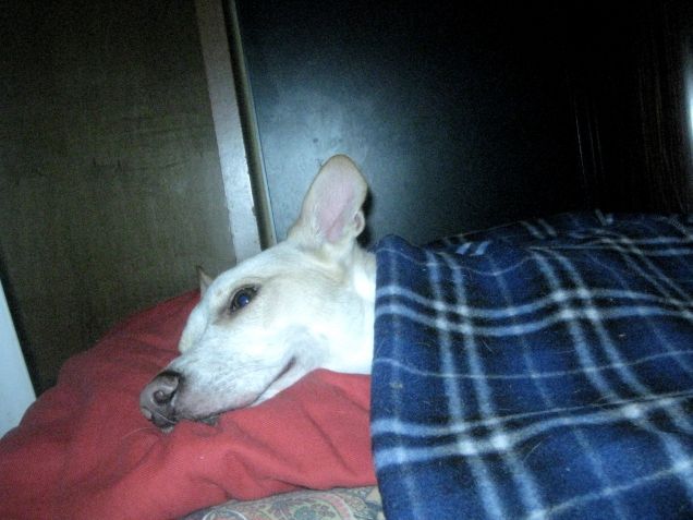 Con questo freddo  di oggi si sta bene al calduccio