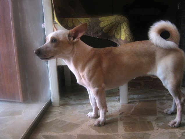 Fateci entrare in cucina