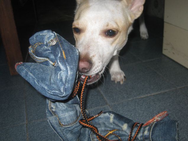 Il suo modo per dire: Giochiamo?