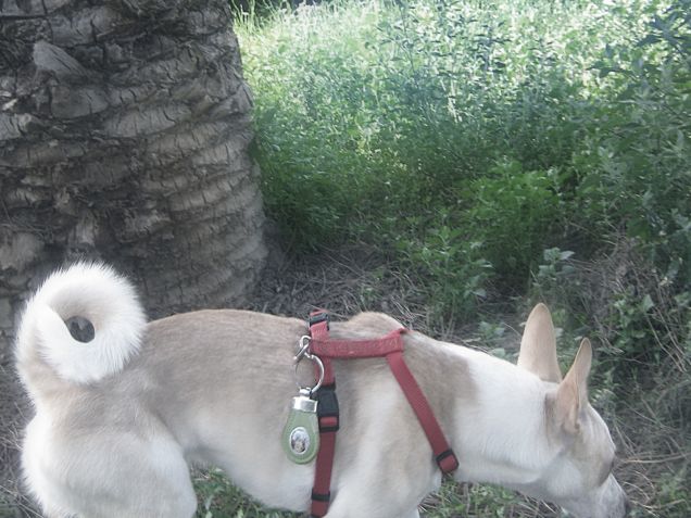 Esplorando  il terreno