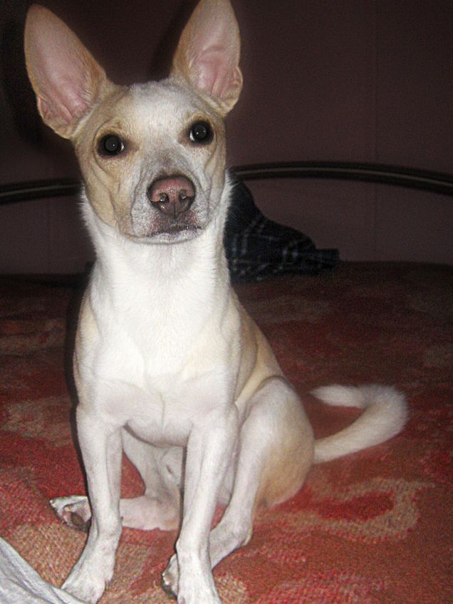 E ovviamente anche sul letto xD