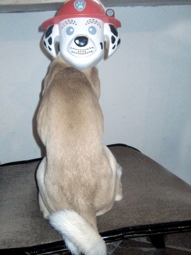 C'è qualcosa che non quadra :D