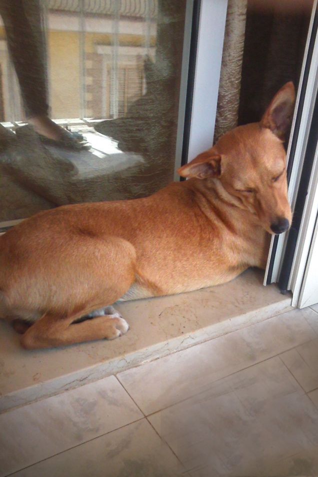 Sharon dorme nei punti più assurdi ahahah