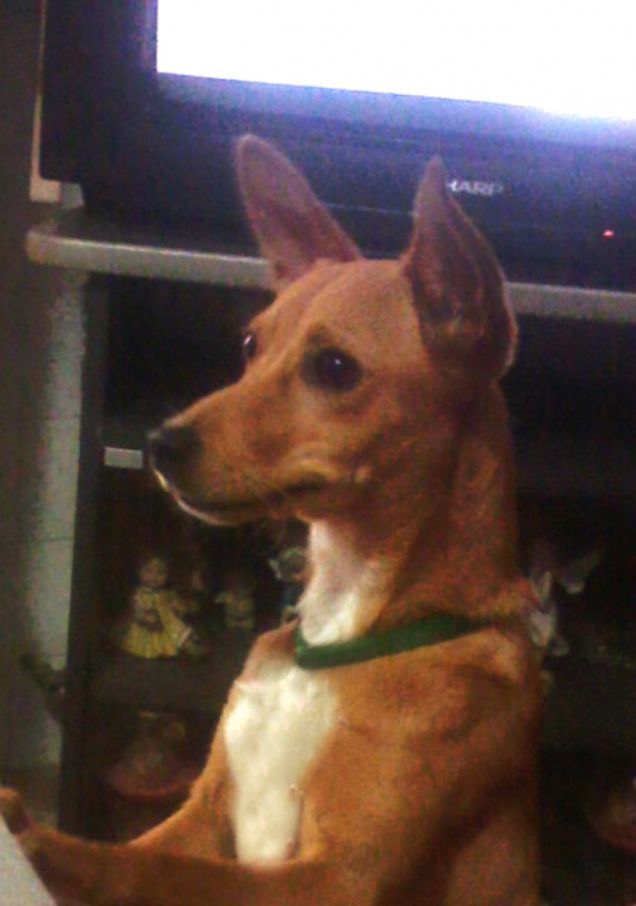 Cosa state mangiando?