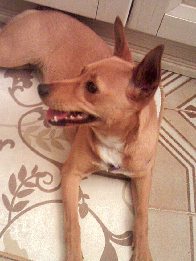 Sharon in : Relax a casa di Pia