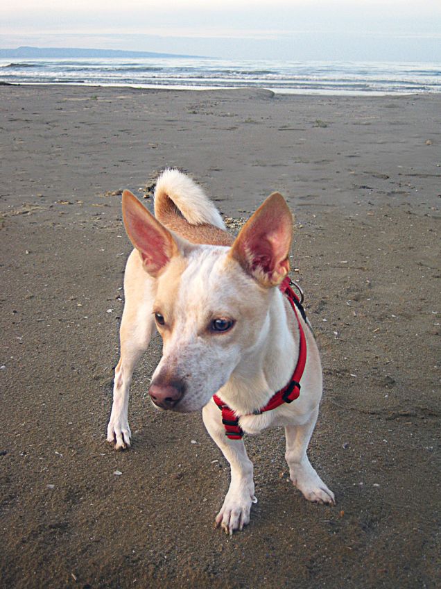 Anche con il freddo al mare :)