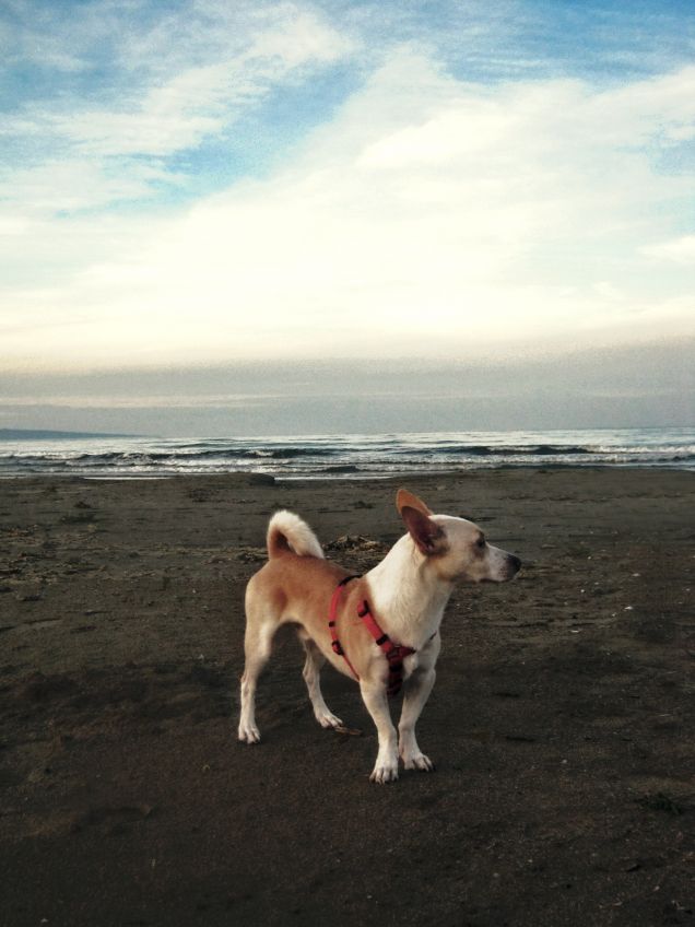 siamo piccoli piccoli nell'immensità di mare e cielo