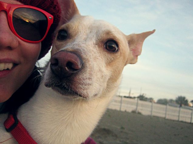 Guardando l'orizzonte