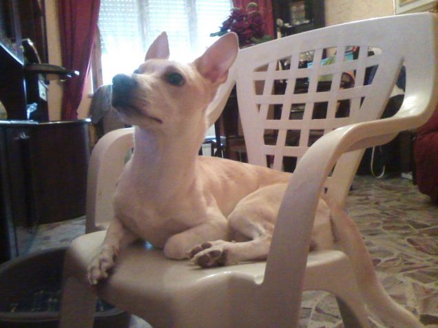 Anche la sedia di mamy ora è mia :D