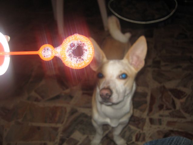 Giochiamo con le bolle di sapone