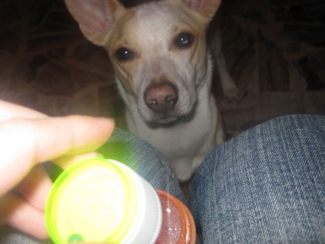 E dai mamy con queste bolle!