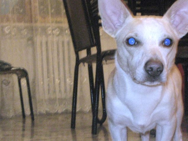 Con i neon accesi :D