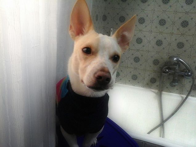 Insieme anche in bagno xD