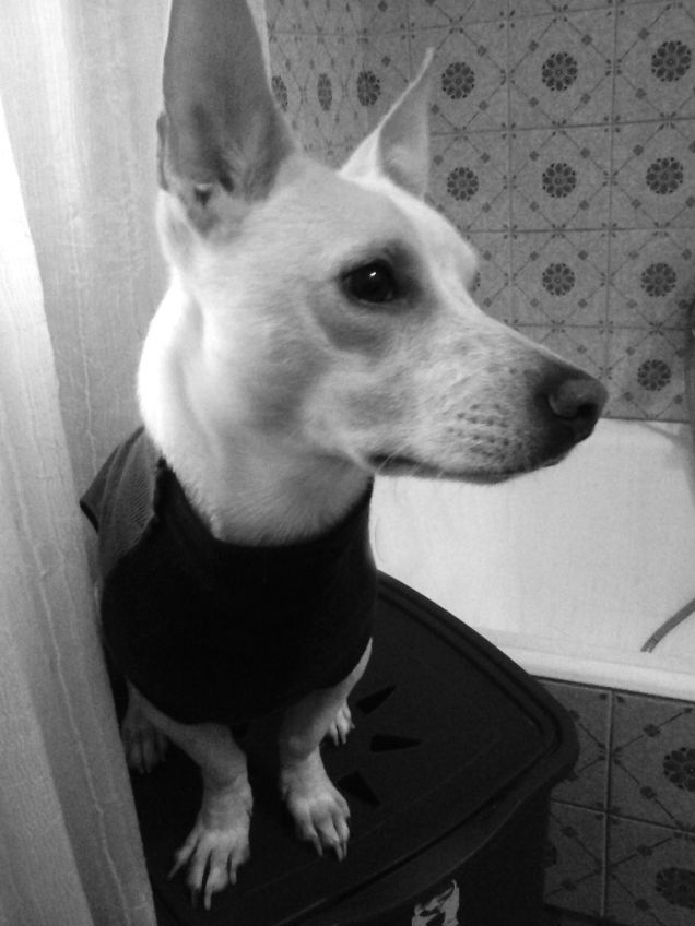 Fa finta di non vedermi