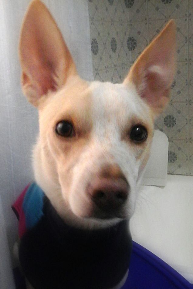 Non esiste privacy :D