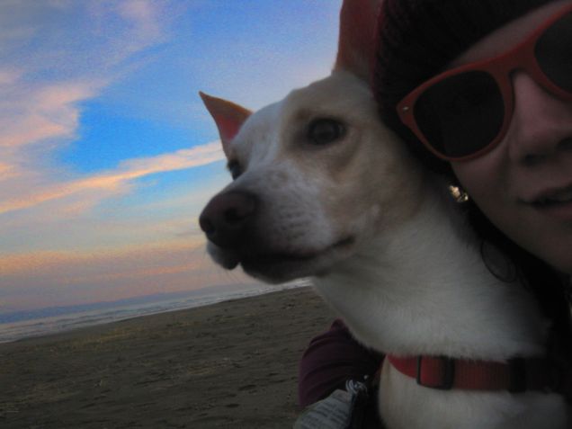 Il cielo è così colorato e luminoso che ci rende  neri 