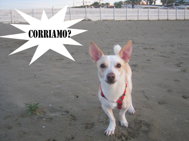 Corriamo?