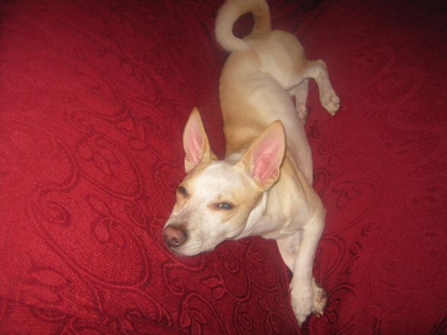 Il suo modo di addormentarsi