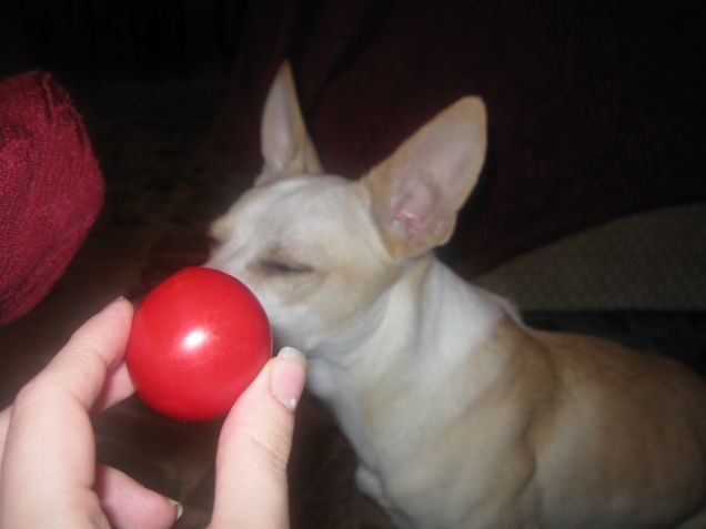 Chiudo gli occhi e ci penso