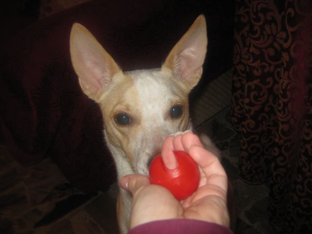 Ahhh forse è una pallina che ho rotto!!!  Ehmm ma quando l'ho distrutta?