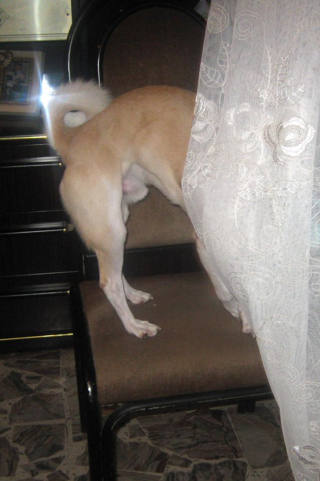 Stiamo giocando a nascondino, mi sono nascosto bene?