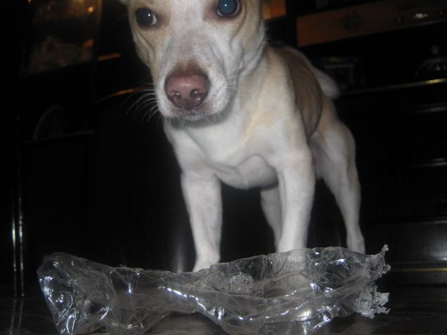 Rocco mi ha portato una bottiglia preziosa: tutta schiacciata xD