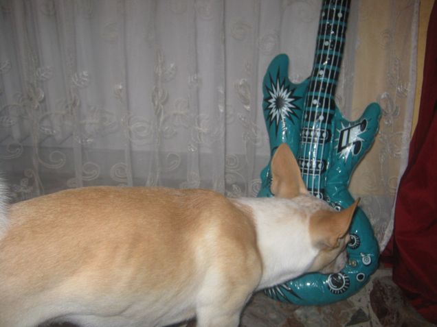 E questa invece? Che roba è?