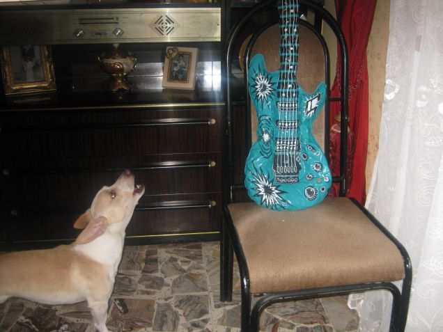 Lasciatemi cantare con la chitarra in zampa