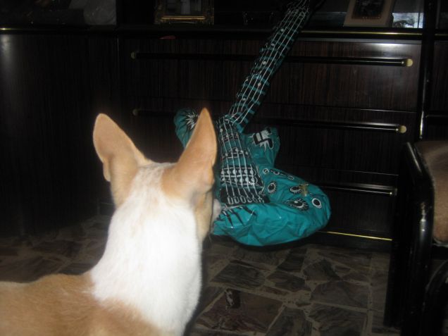 Mamy la chitarra ha fatto Pluff!