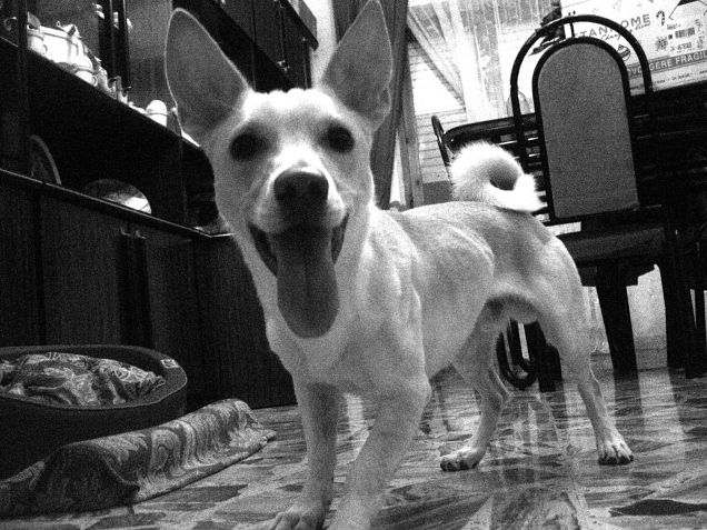 Ci siamo un po' riscaldati :)