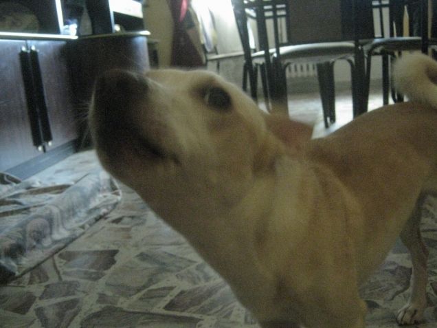 Ehi non sarai mica stanca? Voglio ancora giocareee