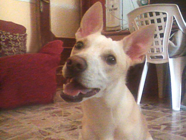 Riesce a trasformare un giorno orribile in uno stupendo... Basta vederlo < 3