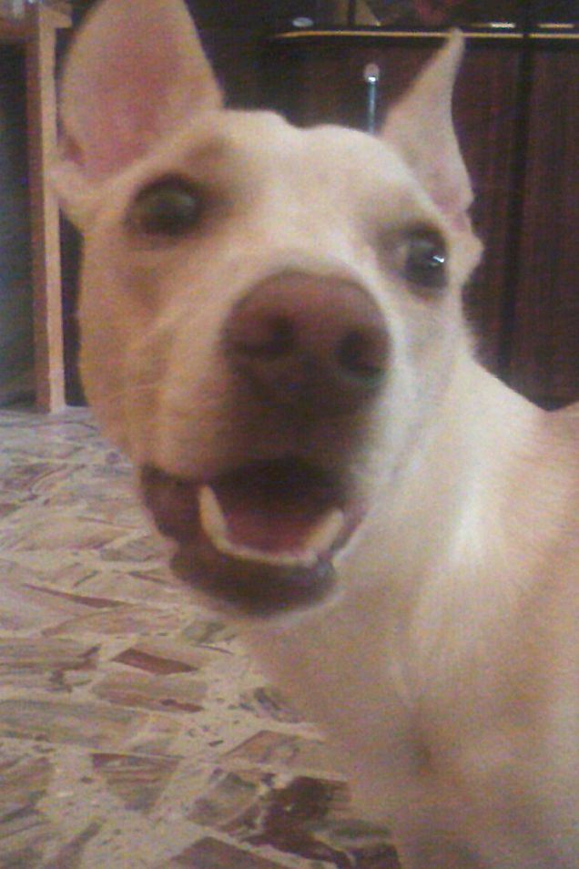 Modestamente mamy, lo so che sono un amore