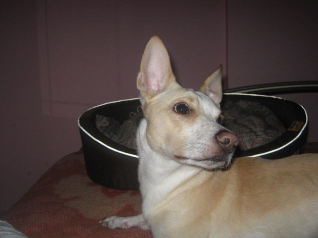 Io sono un infermiere perfetto u.u