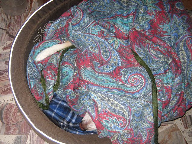 Che ne dite, ha freddo Rocco? :D