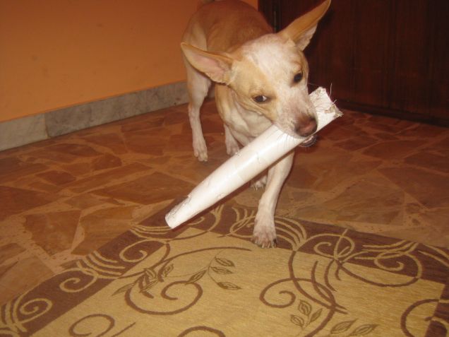 Una delle sue passioni